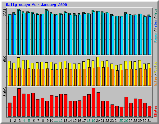 Daily usage for January 2020