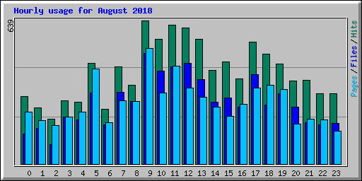 Hourly usage for August 2018