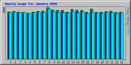Hourly usage for January 2020