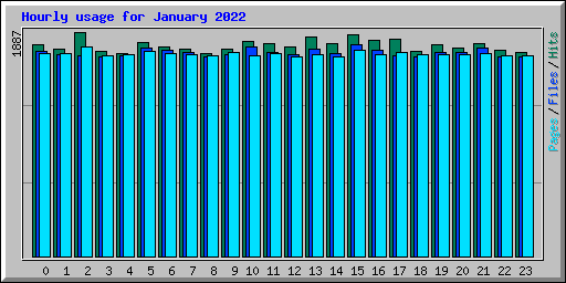 Hourly usage for January 2022