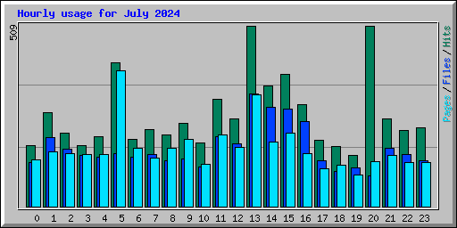 Hourly usage for July 2024