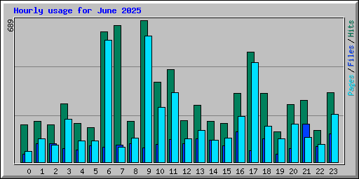 Hourly usage for June 2025