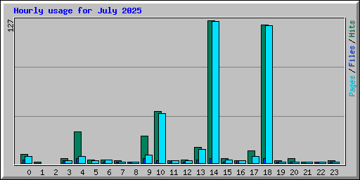 Hourly usage for July 2025