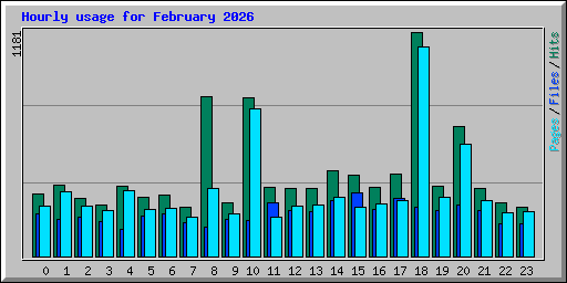 Hourly usage for February 2026